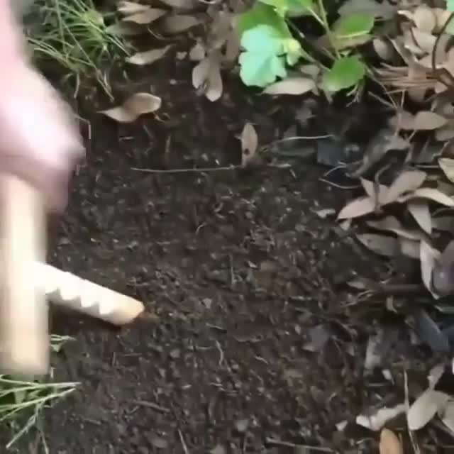 Еще один лайфхак для рыбаков. смотреть онлайн