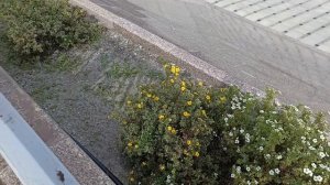 Тюмень.Набережная реки Тура в Тюмени. Единственная 4 уровневая набережная в России.