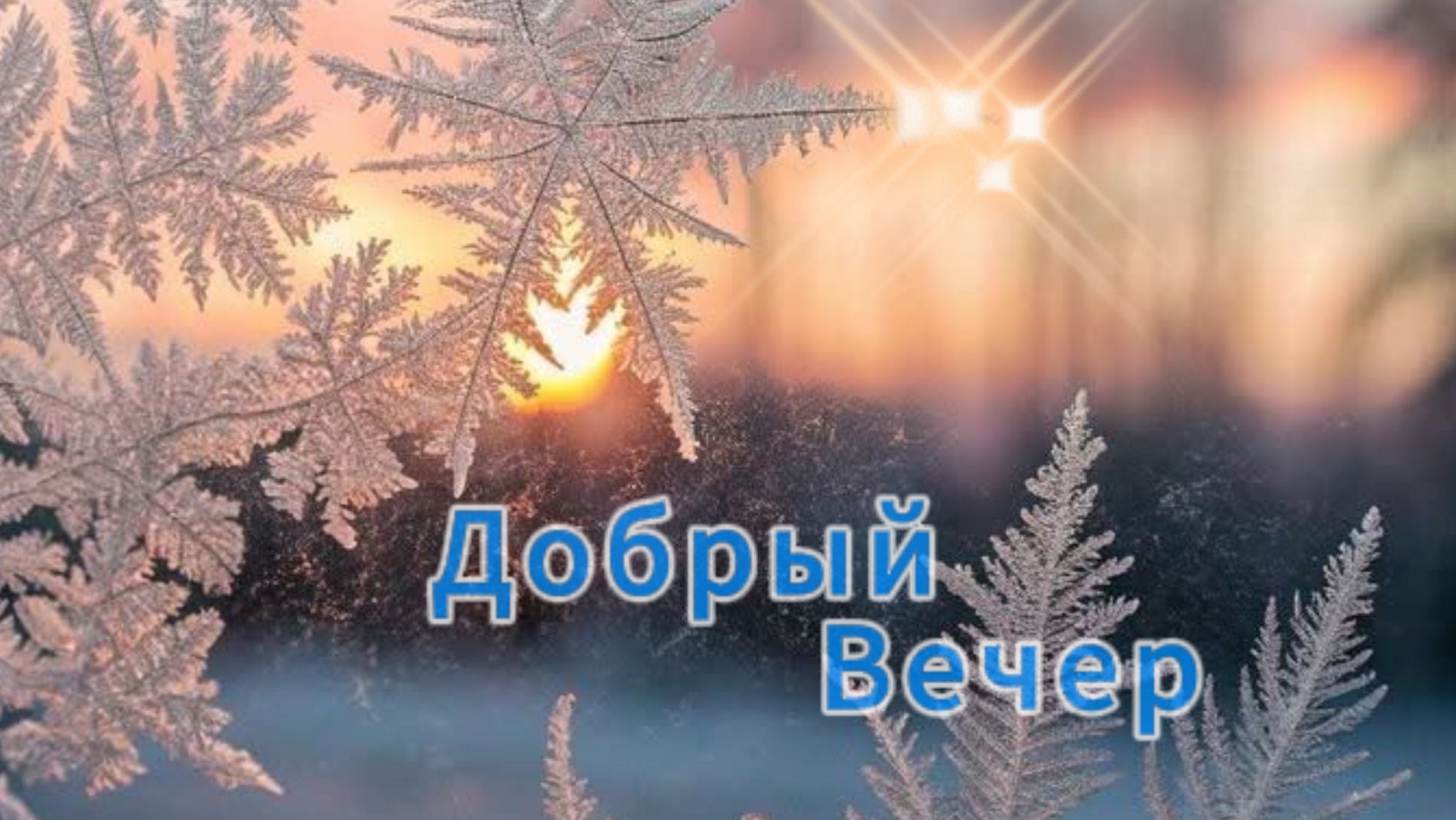 Пожелания доброго вечера – тёплая видео открытка с красивыми словами смотреть онлайн