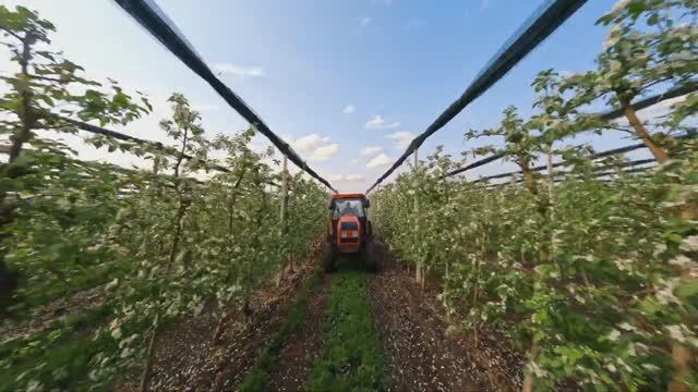 Apple Farm. Crash FPV Drone