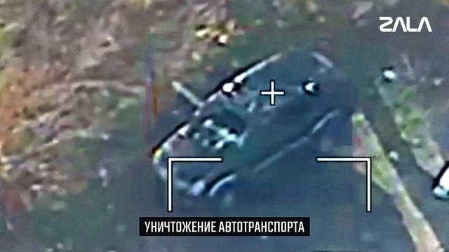 Zala ноябрь 2025.