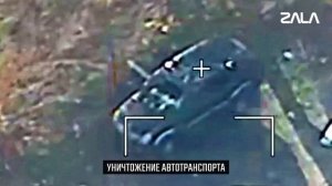 Zala ноябрь 2025.