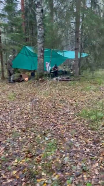 Поход на новые блиндажи #digging #ww2 #shortsvideo #shortsrutube смотреть онлайн