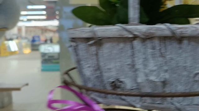 #красота в магазинах Брянск смотреть онлайн