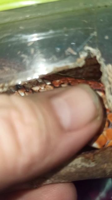 Катриель. 9 декабря 2025 г. смотреть онлайн