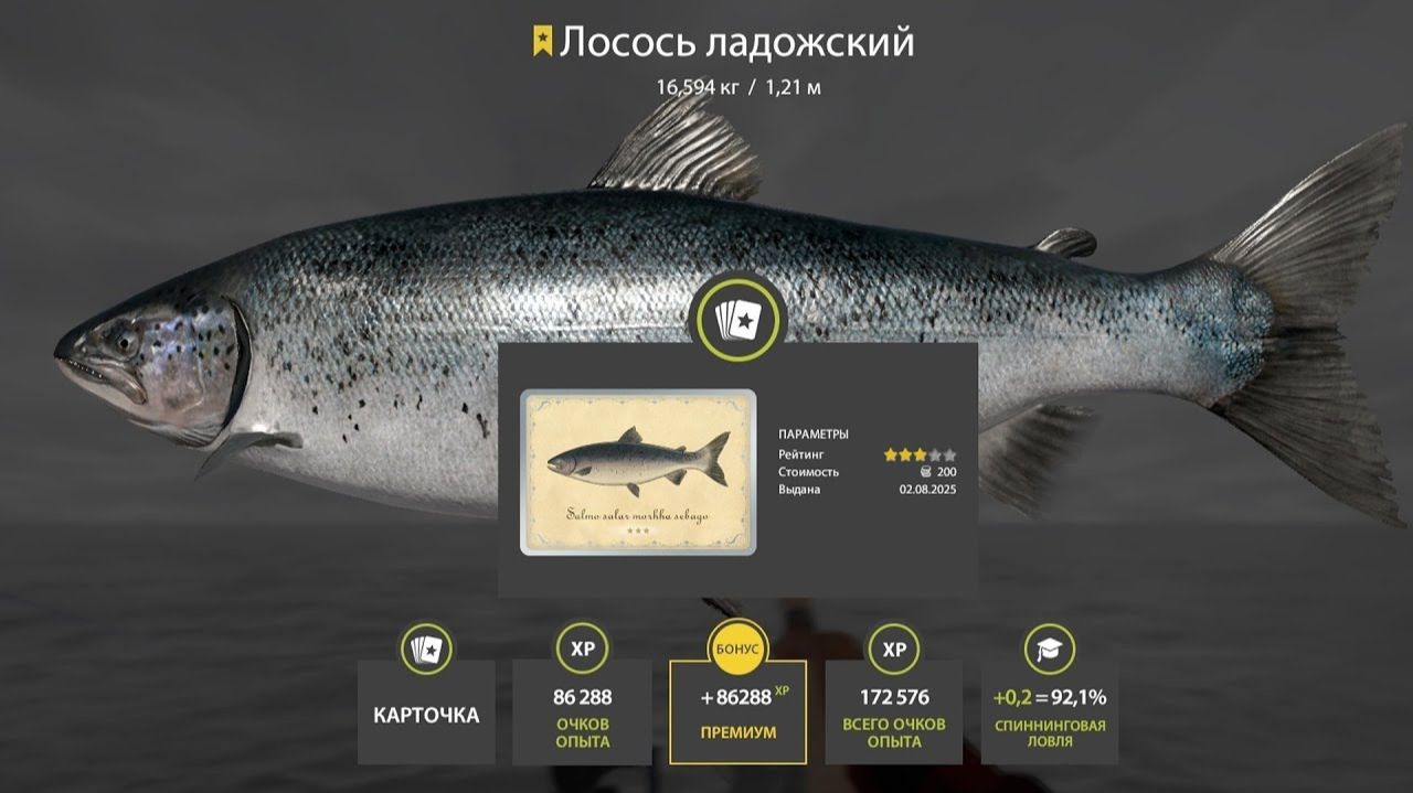 ФАРМЫ НА ЛАДОЖСКОМ АРХИПЕЛАГЕ, МЕДНОМ, РАЗДАЧИ ТРОФОВ НА МОРЕ, ВЬЮНКЕ ЯНТАРНОМ ОБЗОР РУССКАЯ РЫБАЛКА смотреть онлайн