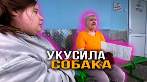 Прививка от бешенства обязательна. Укусила собака. Катя прибралась. Обучение необычной семьи.
