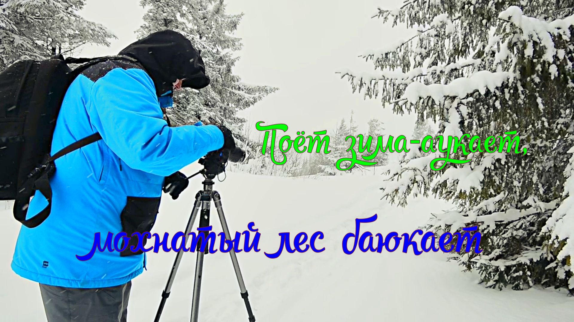 Поёт зима - аукает, мохнатый лес баюкает