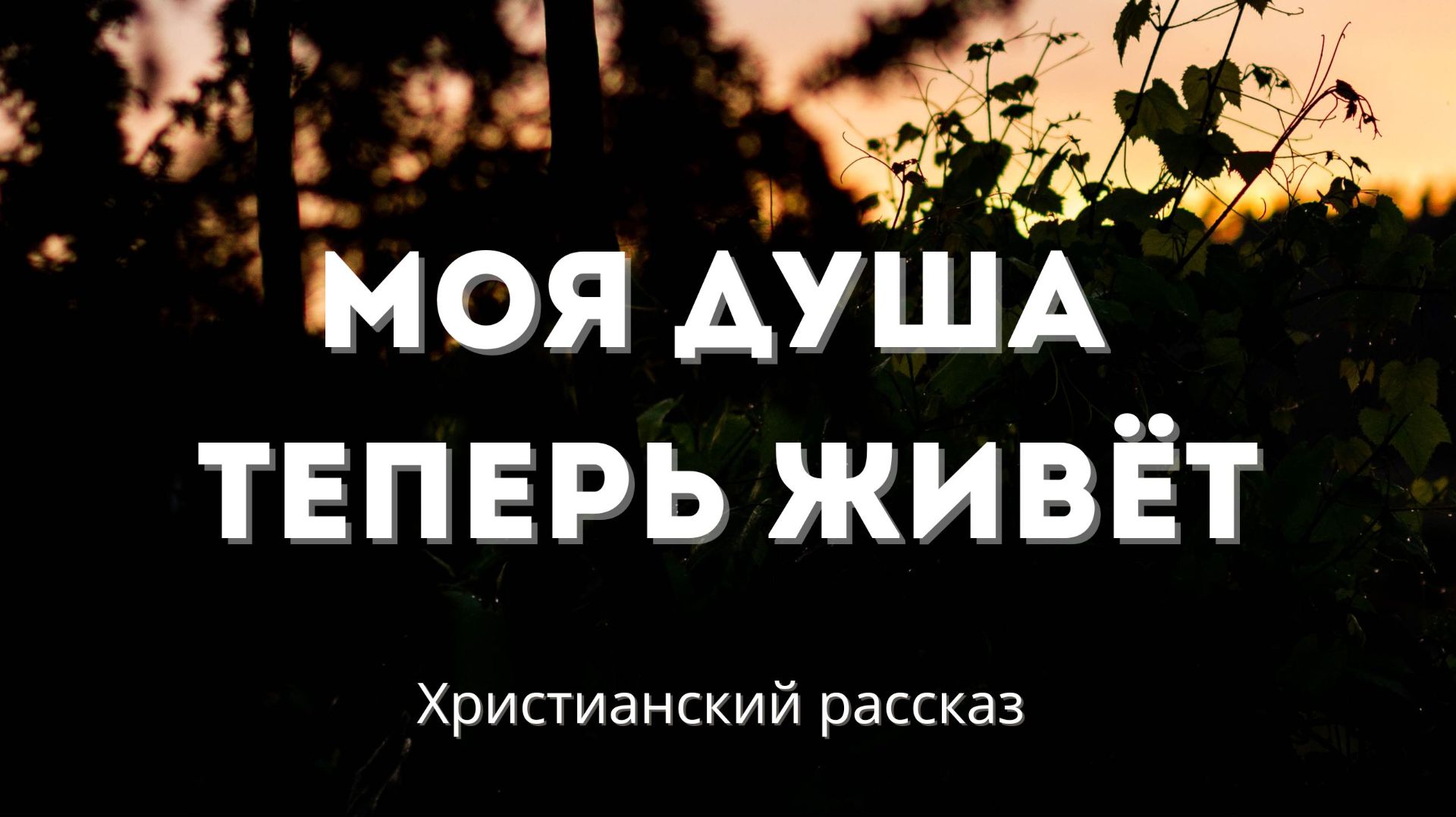 Моя душа теперь живёт | Рассказ о пути через боль и утраты смотреть онлайн