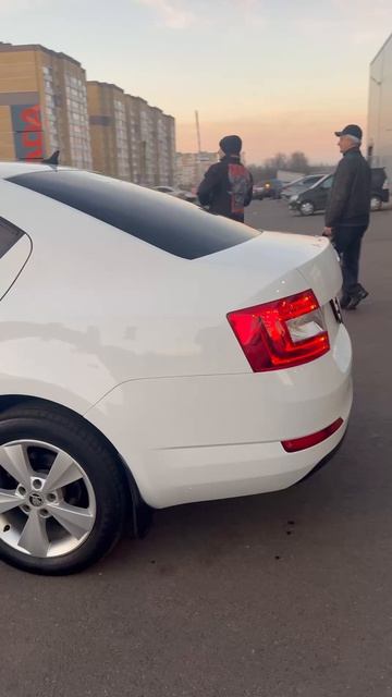 Продается SKODA Octavia /Авто с пробегом смотреть онлайн