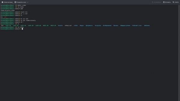 Основы работы в Bash линукс.