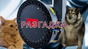 Разгадка загадки