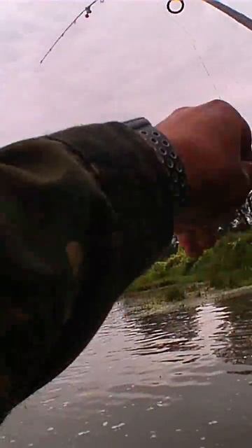 РЫБАК Vs ОКУНЬ | АПЛОДИСМЕНТЫ НА БЕРЕГУ🐟✨ #fishing #рыбалка #окунь #рыбак #река #аплодисменты