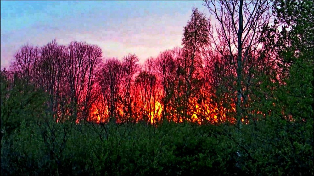 Соловьинный закат смотреть онлайн