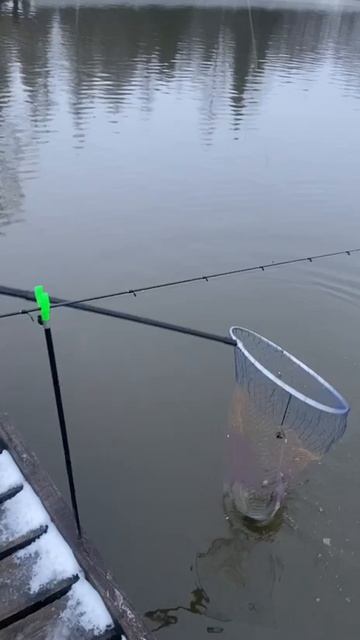 Основной водоём. смотреть онлайн