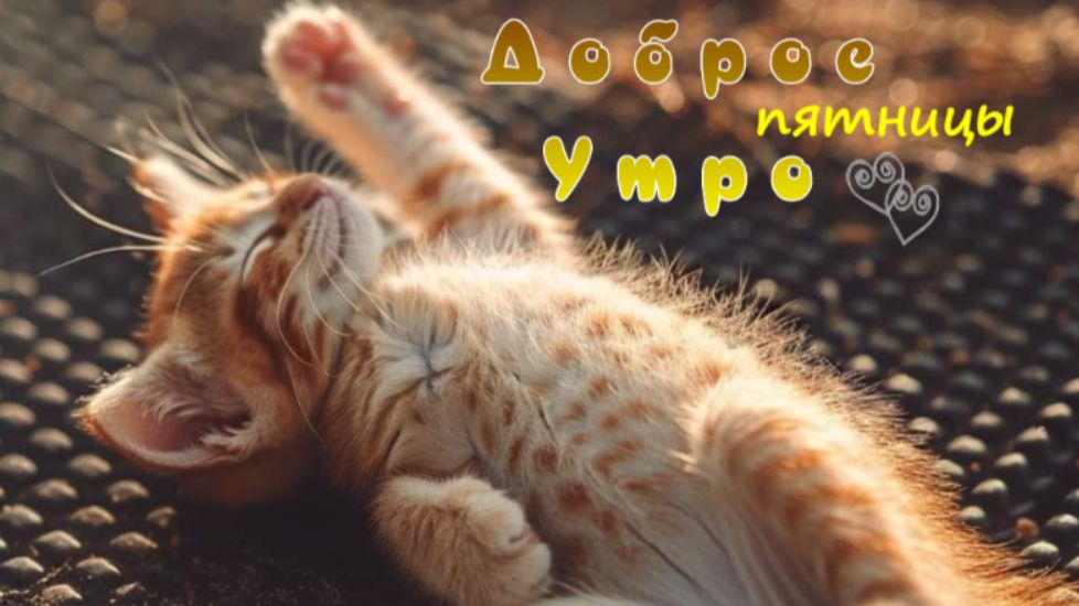 Доброе утро пятницы – тёплые пожелания в красивой открытке смотреть онлайн