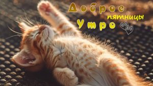 Открытки с пятницей прикольные – музыкальные пожелания с юмором и улыбкой