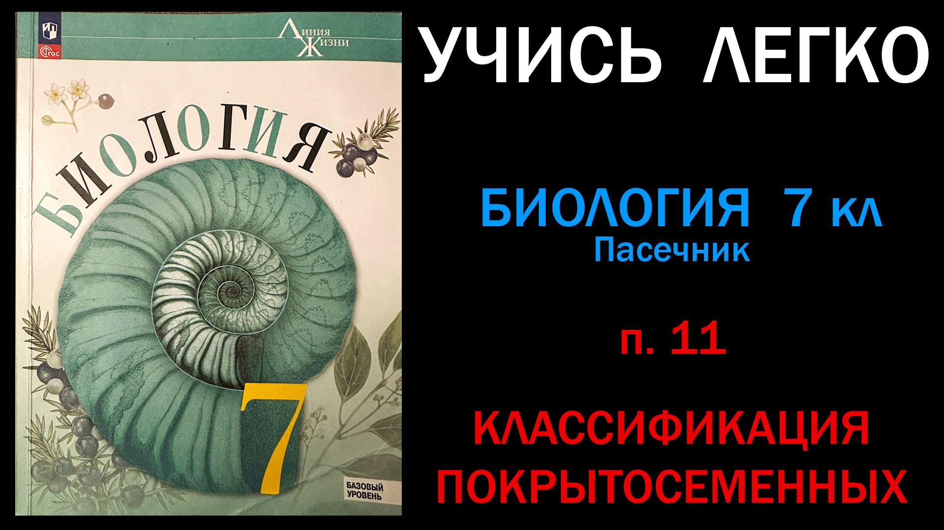 Биология 7 класс Пасечник, Суматохин параграф 11 Классификация покрытосеменных. слушать онлайн смотреть онлайн