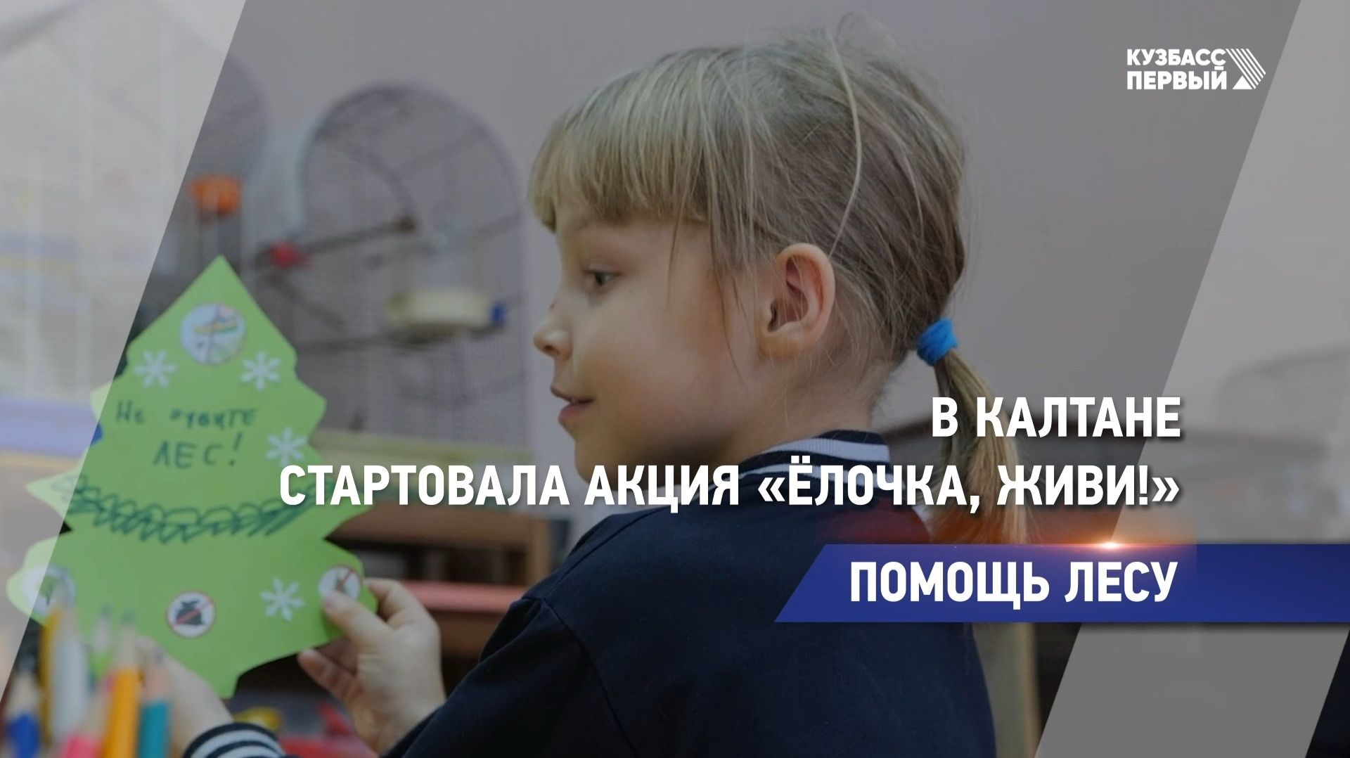 Помощь лесу смотреть онлайн