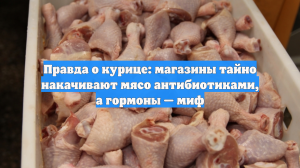 Правда о курице: магазины тайно накачивают мясо антибиотиками, а гормоны — миф