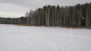 Белоярка. НАСОСНАЯ. 11.12.2025/ Открываем сезон зимней рыбалки 2025!