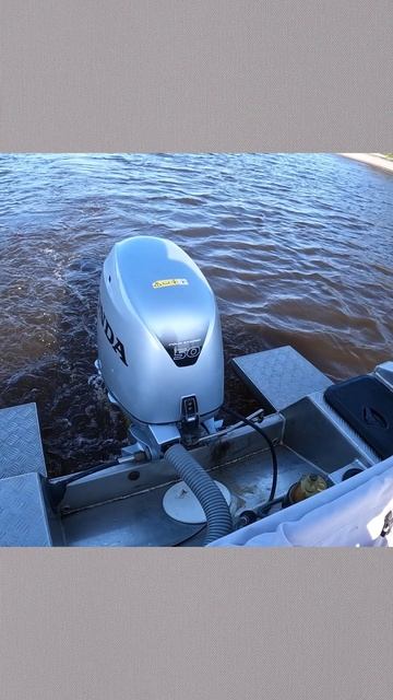 Мурлыканье Хонды 50 смотреть онлайн