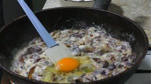 ВОТ КАК ГОТОВИТЬ ЗИМНИЕ ГРИБЫ Опёнок зимний (лат. Flammulina velutipes)