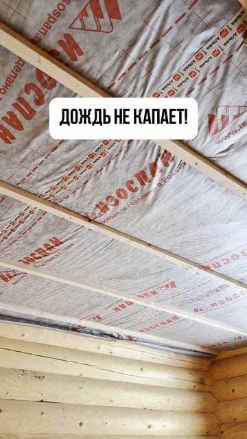 Счастье в мелочах.. и туалете! смотреть онлайн