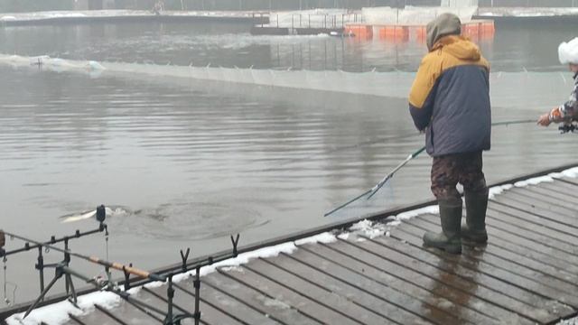 Основной водоём. Донка. смотреть онлайн