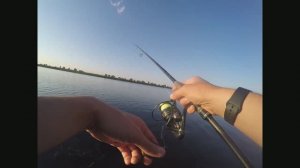 Обзор катушки Maximus Contact PG от Александра Ляшенко