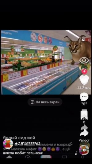 это настоящее видео где шлепа в пятёрочке не нашла пельмени и взорвал пятёрочку