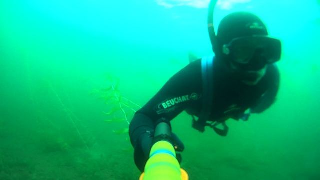 Карелия, подводная охота (Август-2025)