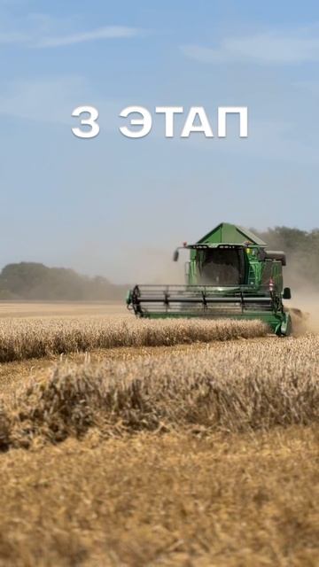 Тентовый ангар для настоящих мужчин смотреть онлайн