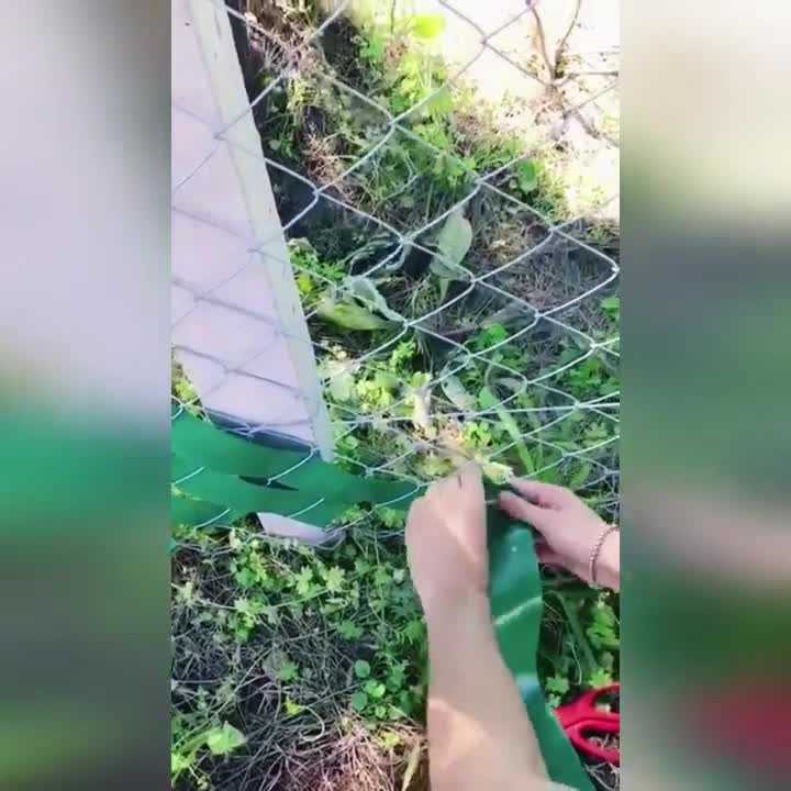 Оригинальная идея для забора на даче. смотреть онлайн