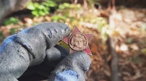 Поиски с металлоискателем