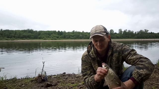 27. Рыбалка на Вятке. Ловля трофейного леща на современную донку