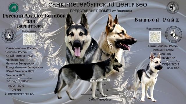 ВЕЛ И РАЙДА смотреть онлайн