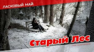 Старый лес