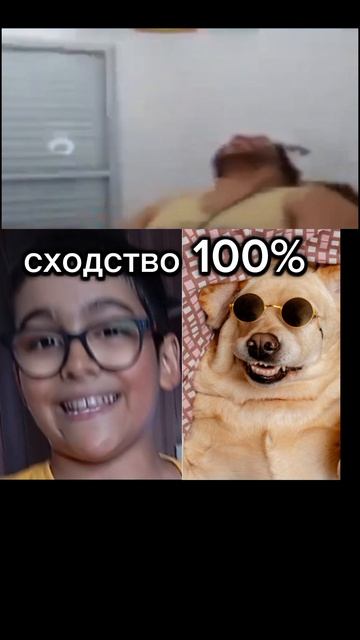 кража кошары муськи смотреть онлайн