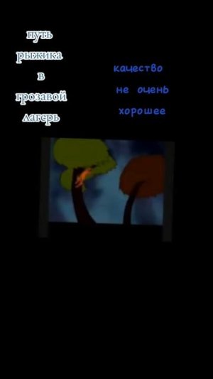 путь рыжика в грозовой лагерь