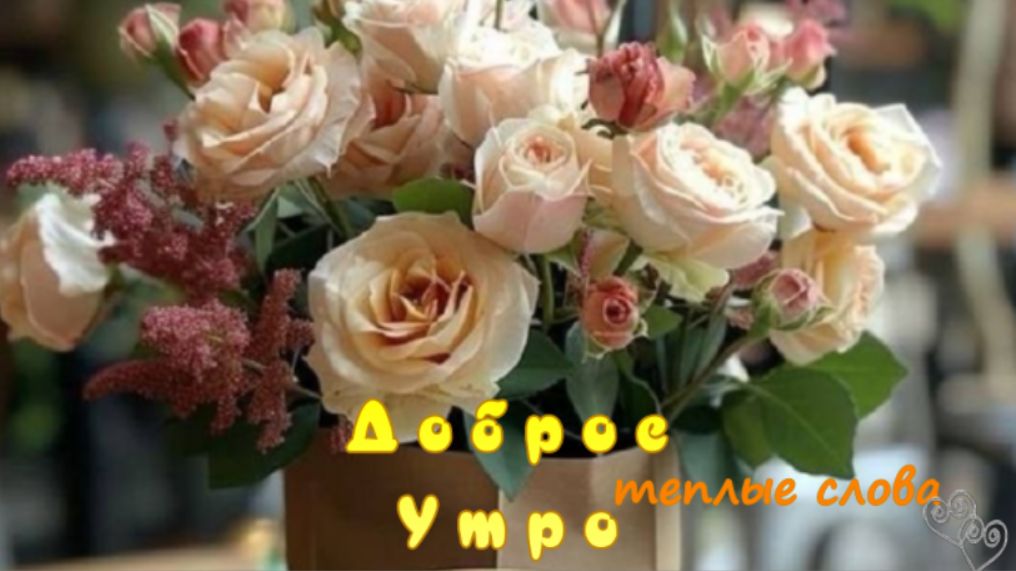 Красивые открытки с добрым утром – тёплые видео, чтобы начать день с улыбки