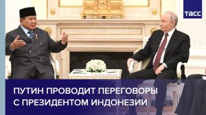 Путин проводит переговоры с президентом Индонезии