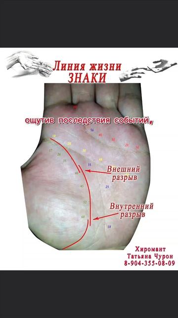 Линия жизни. Знаки. Внутренний разрыв.
#fyp #хиромантия #жизнь #обучение #лучшее