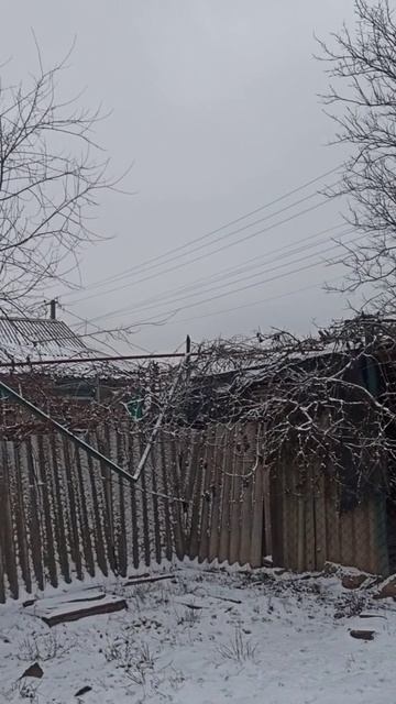 Первый снег! 9 декабря 2025 г. смотреть онлайн