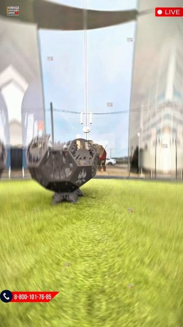 Чаша - Очаг Дикий лес смотреть онлайн