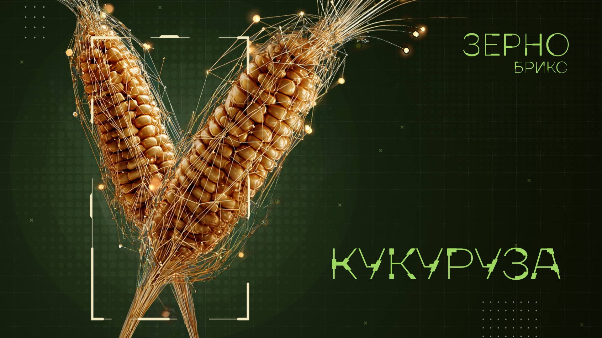 Зерно БРИКС. Кукуруза