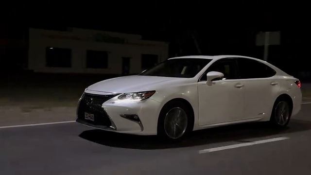 1000006061.mp4 смотреть онлайн