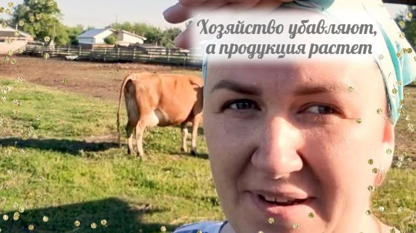 У Быковой и так много нахлебников смотреть онлайн