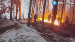 Работает ССО