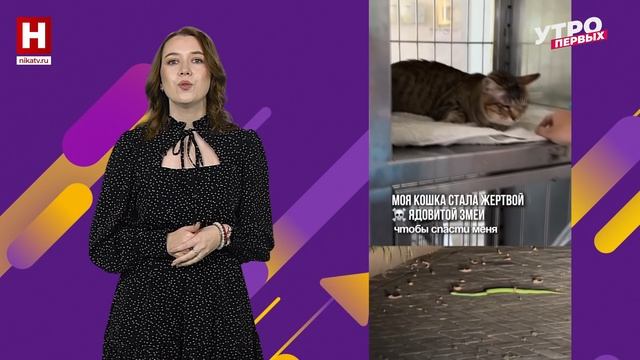 Лучшие видео | В ТРЕНДЕ